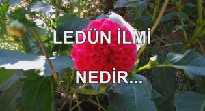 Ledün İlmi Nedir