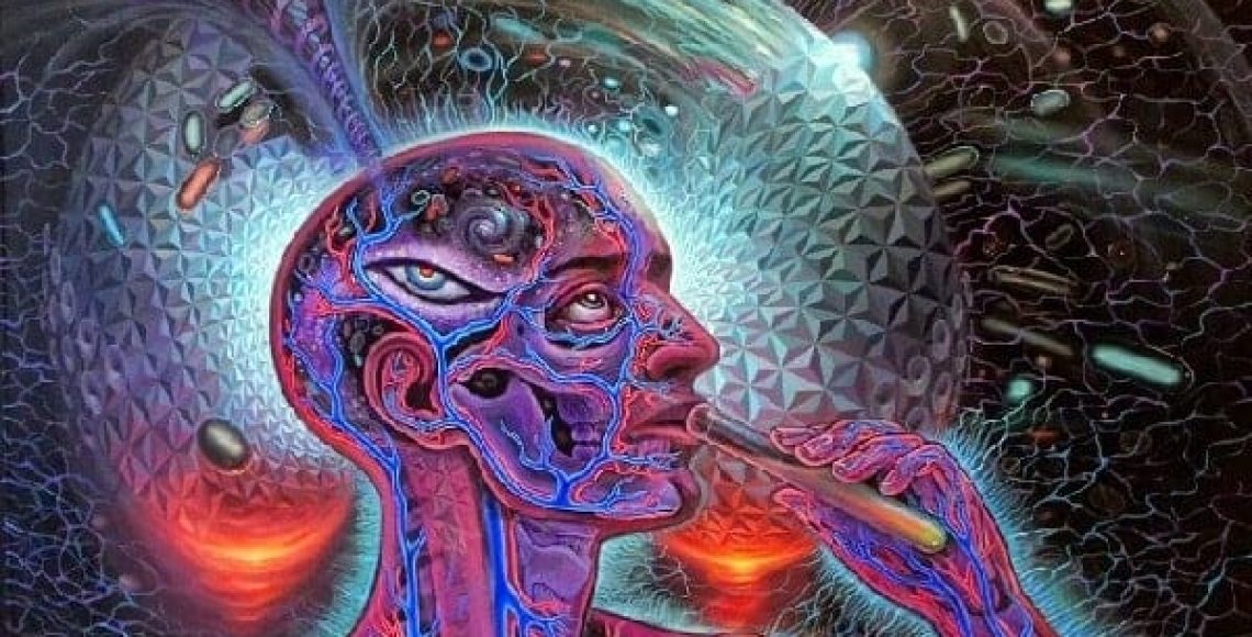 dmt-nedir