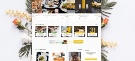 WordPress hazır site