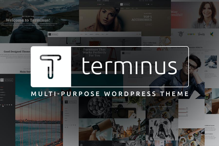 559128893-1.jpg Terminus - Multi-Purpose WordPress Theme - Görsel 1