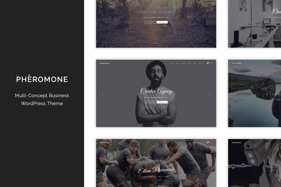 895818675-1.jpg Pheromone - Creative Multi-Concept WordPress Theme - Görsel 1