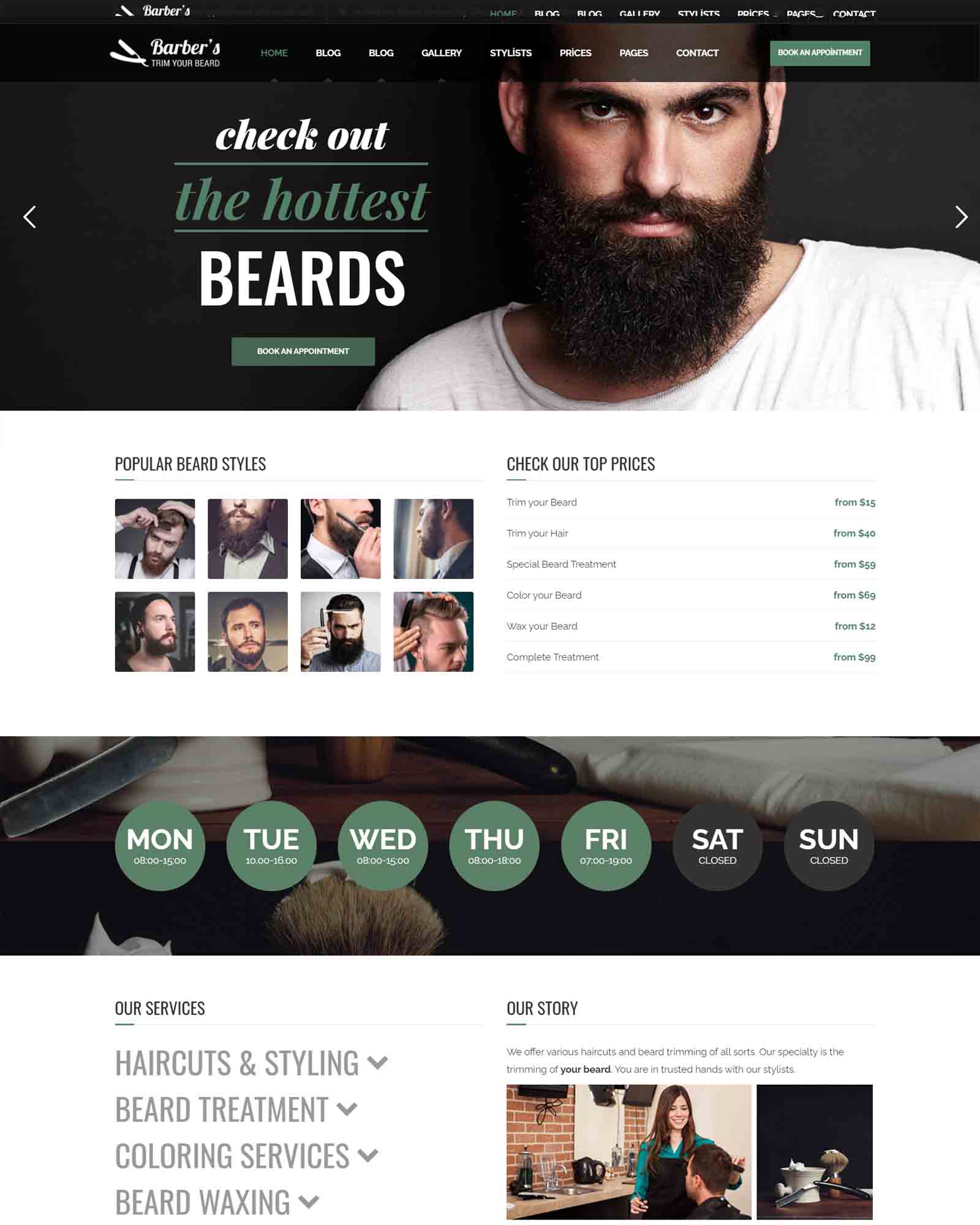 hazir-berber-kuafor-web-sitesi-omega-web-tasarim.jpg Hazır Berber ve Kuaför Sitesi - Görsel 1